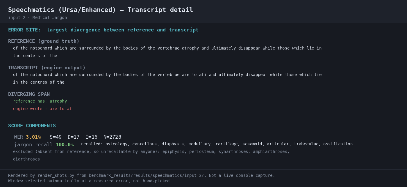 Output artifact for "Asynchronous Batch Transcription" test: The medical-jargon sample scored 3.01% WER and 100.0% jargon recall; the transcript preserved the scored anatomy terms rather than dropping them., 04-transcript-detail-2.png