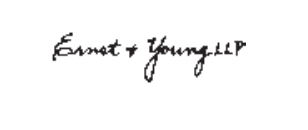Input artifact for "Signature and Stamp Detection" test: Blurry handwritten Ernst & Young LLP mark on a white background., hybrid_earningspdf_blurry_stamp.png
