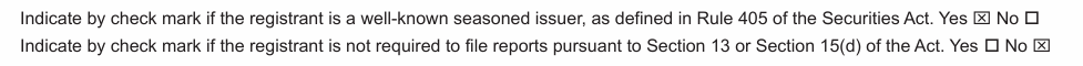 Input artifact for "OCR and Text Extraction" test: SEC filing checkbox line asking whether the registrant is a well-known seasoned issuer., dolphin_input1_hybridearnings_checkbox1_source.png
