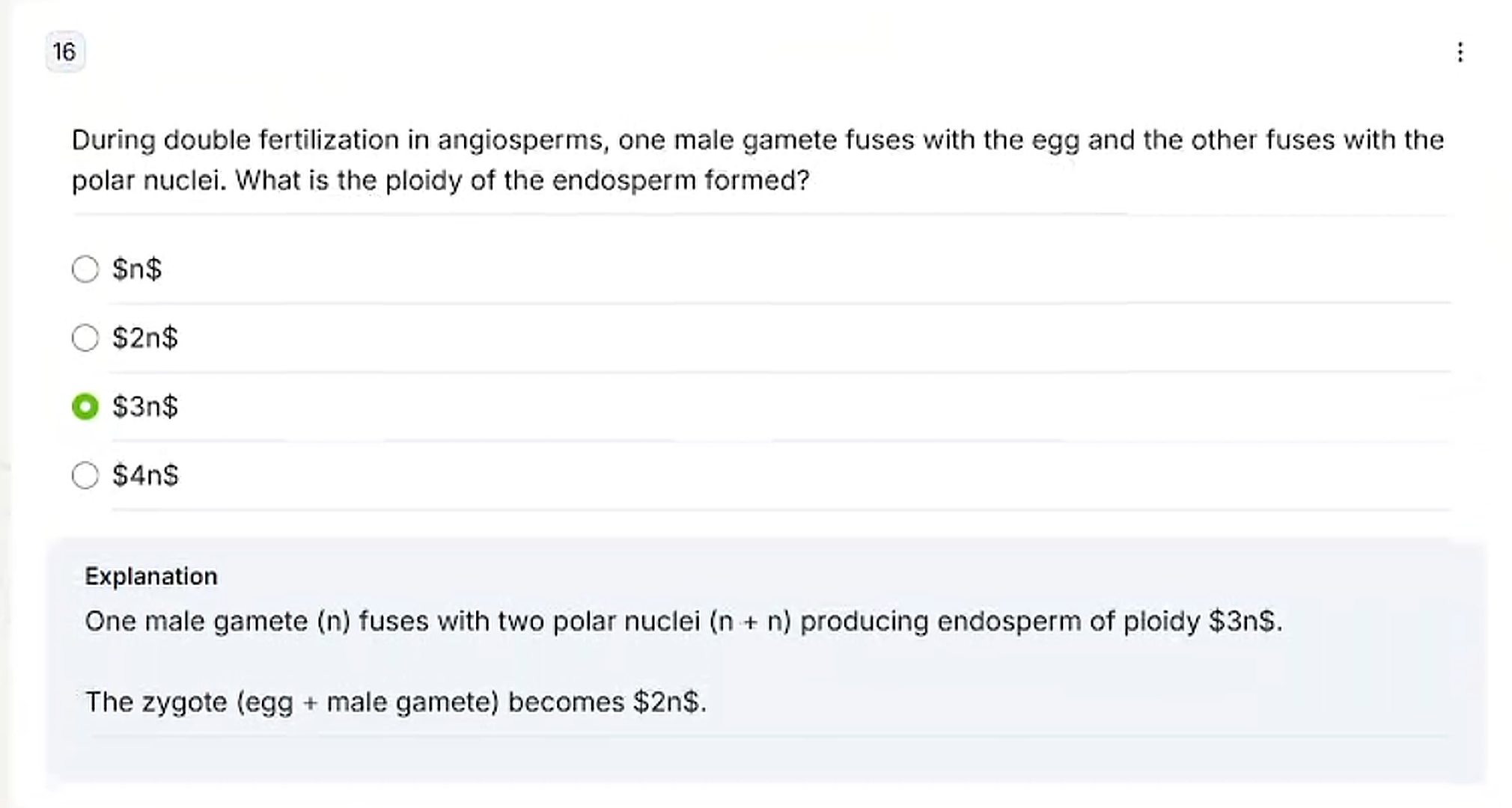 Output artifact for "Formula and Notation Rendering" test: A later quiz question card numbered 16 about double fertilization in angiosperms. The selected option and explanation show malformed math rendering, with the ploidy displayed as literal dollar-sign notation instead of formatted equations., Generate-Quizzes-and-Practice-Tests-from-Study-Material-Using-AI__Edcafe-AI__20__input3_unrendered_latex_mcq_midquiz.png